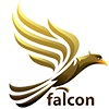 Shenzhen Falcon Logistics Ltd